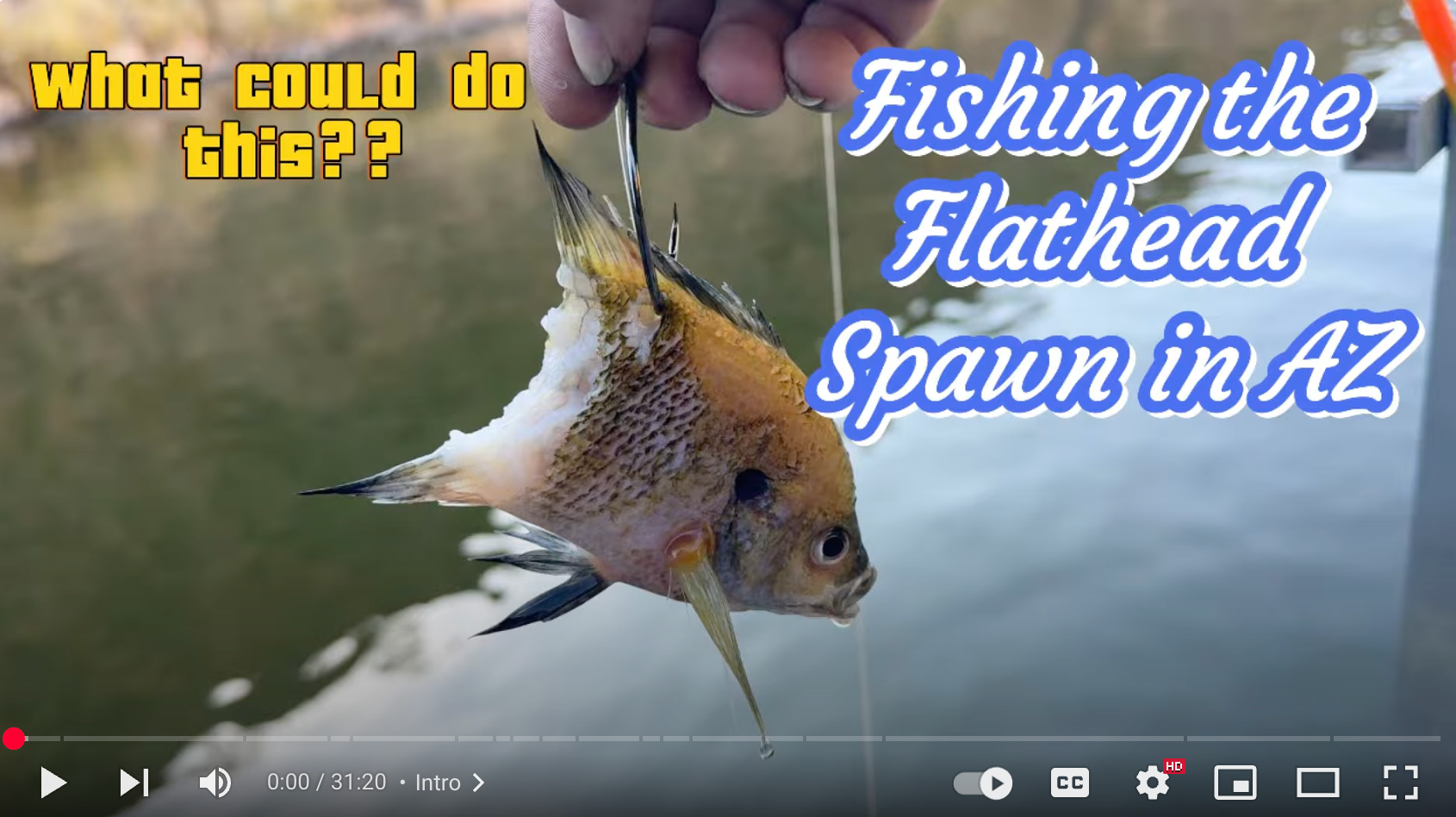 Load video: 